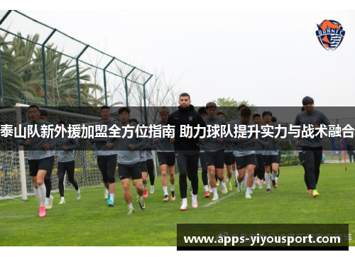 泰山队新外援加盟全方位指南 助力球队提升实力与战术融合