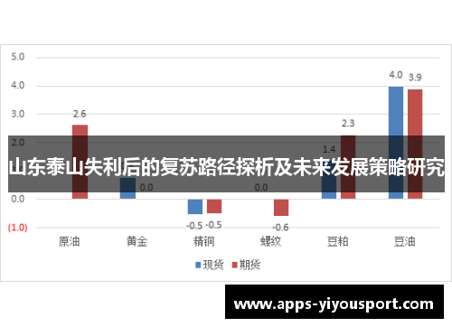 山东泰山失利后的复苏路径探析及未来发展策略研究